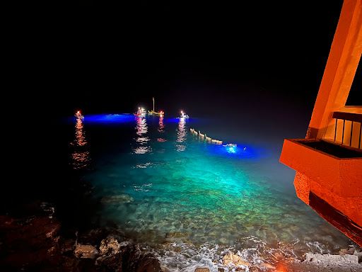Manta Ray Night Snorkel