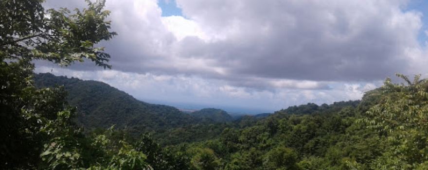 Río Añon