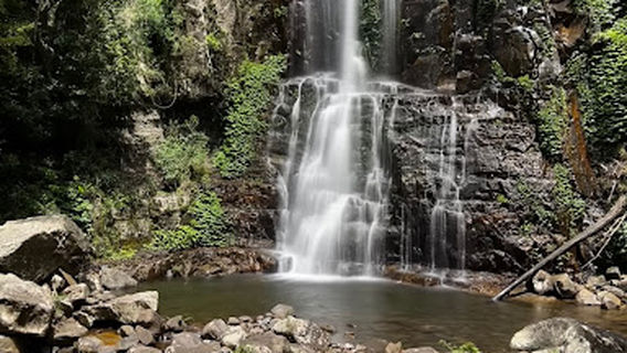 Upper Minnamurra Falls