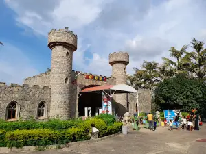 Magic Land