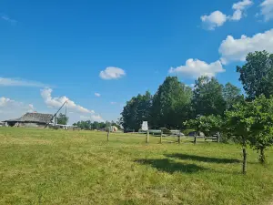 Lietuvos aviacijos muziejus, lakuno Stepono Dariaus gimtine