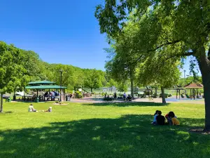 Woodridge Park