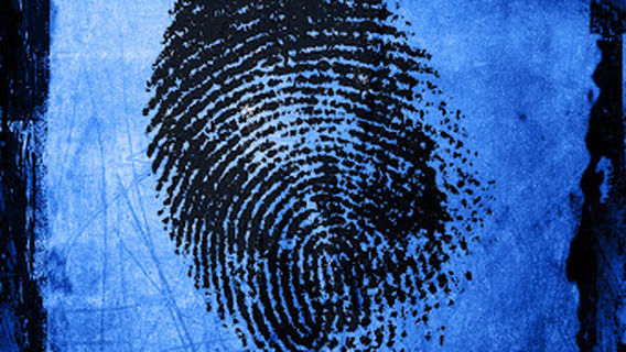 Lake Geneva Clue Room