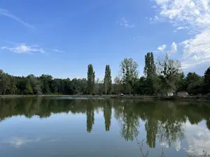 Étang de Guesnes