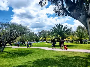 El Oasis Tu Parque Acuático Tequisquiapan