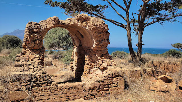 Eastern Tipaza Roman Archaeological Site