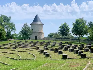 Château de Montendre