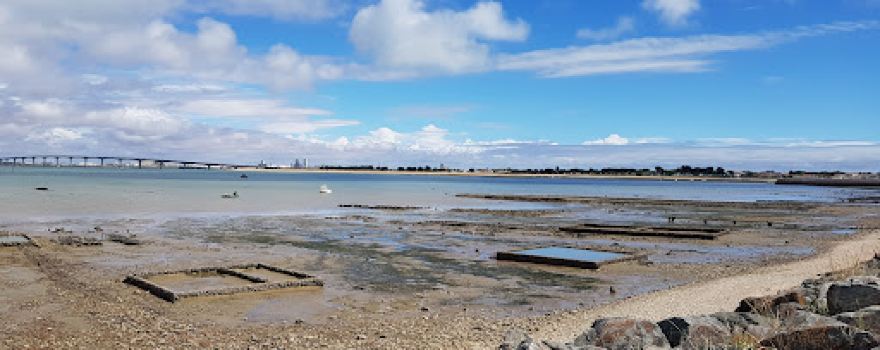 Camping - Ile de Ré - Les Acacias