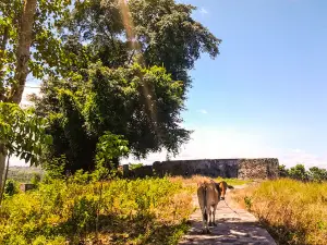 Fort Pikit