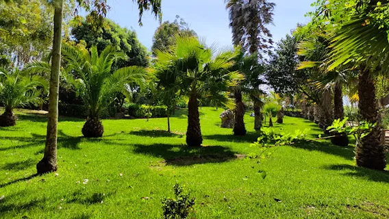 Parque da Fonte Lima