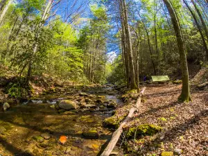 Emery Creek Trail Trailhead