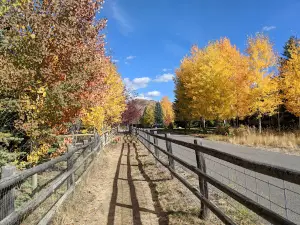 Atkinson Park