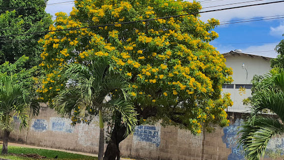 Парк Хурасико