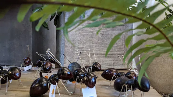 Bellbrae Art & Garden