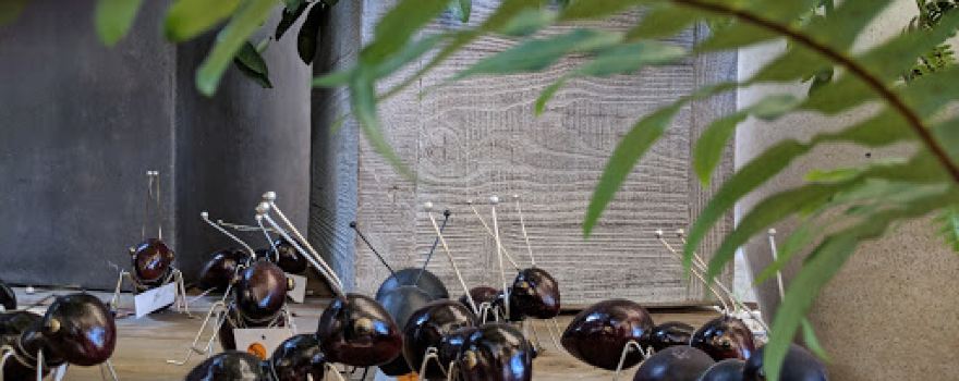 Bellbrae Art & Garden
