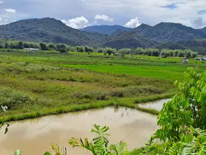 Bario, Sarawak, Malaysian Borneo
