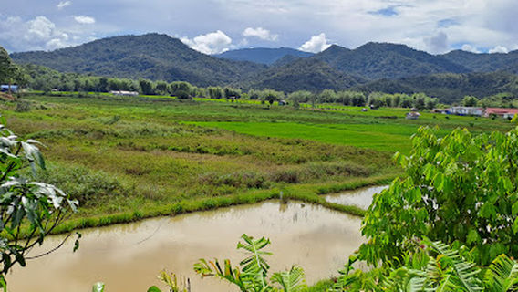 Bario, Sarawak, Malaysian Borneo