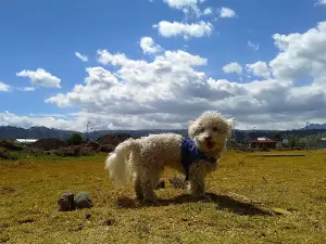 Parque Ecológico Cachipamba