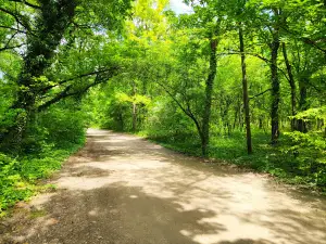 Sóstói Forest Park
