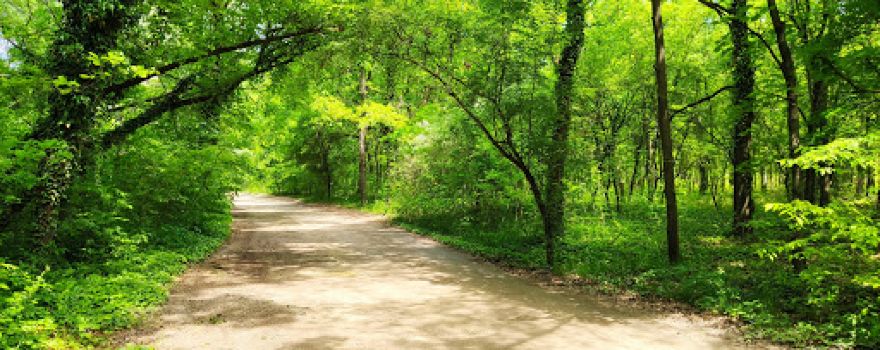 Sóstói Forest Park