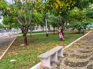 Pioneer Square - Paranavaí
