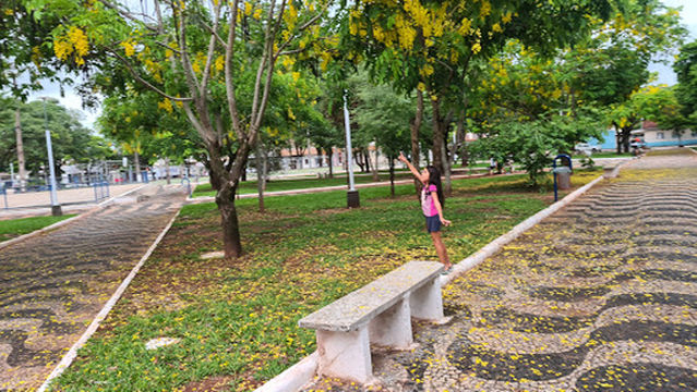 Pioneer Square - Paranavaí