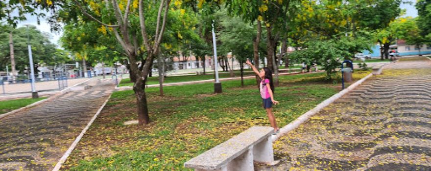 Pioneer Square - Paranavaí