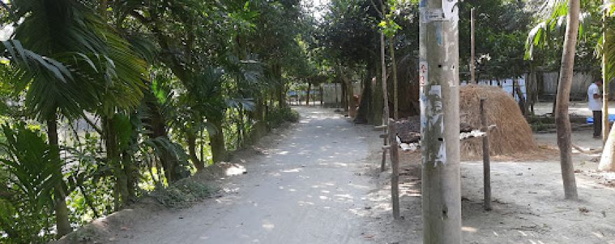 Purbo silmaner para