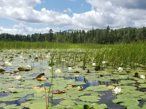 Flat Horn Lake
