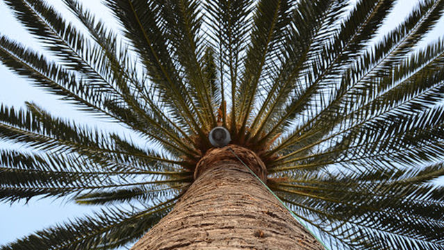 Museo PEG Los Telares, El Parque Etnográfico de La Gomera