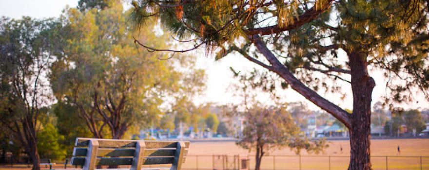 Wally Tate Park