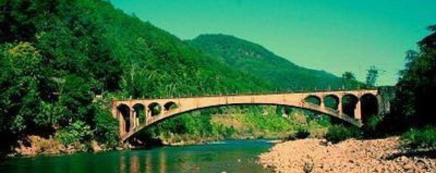 Xiaoheijiang Forest Park