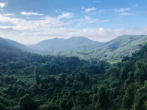 Bawangling National Forest Park Baishitan Scenic Area