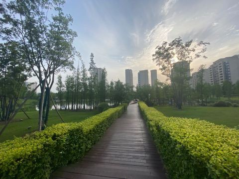 翠湖公园景点图片