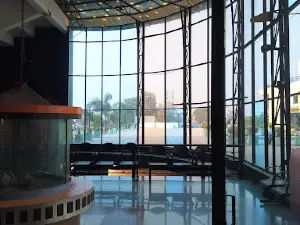 New Star City Multiplex