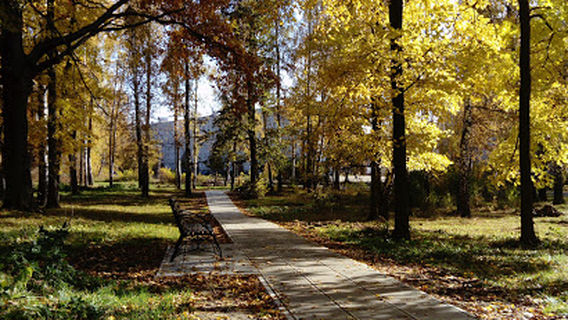 Shumerlinskiy Park Kul'tury I Otdykha