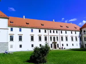 Miejski Ośrodek Kultury - Zamek