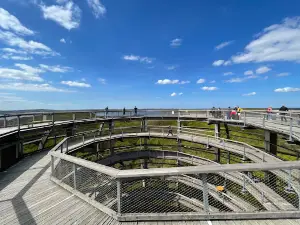 Aussichtplattform Adlerhorst - Baumwipfelpfad Rügen Naturerbezentrum Rügen