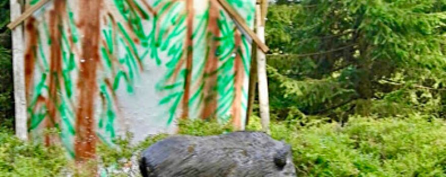 3D Bogenparcour - Bogenpfad am Rennsteig des WSV Neuhaus