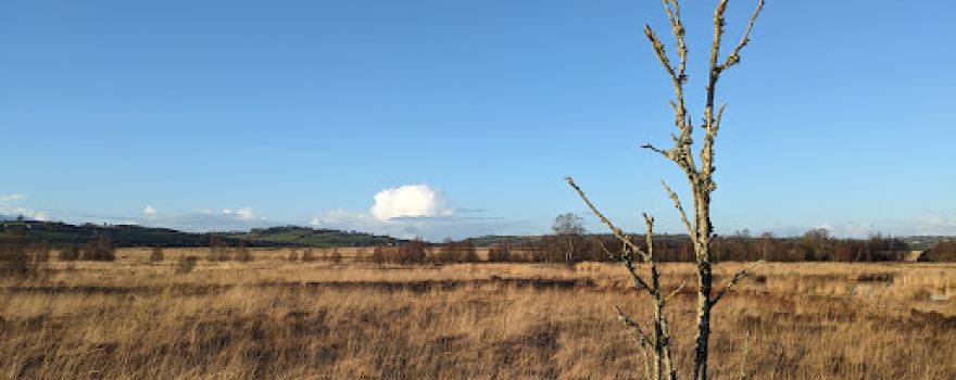 Cors Caron National Nature Reserve