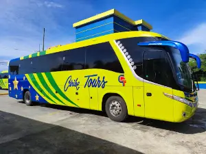 Caribe Tours Las Americas