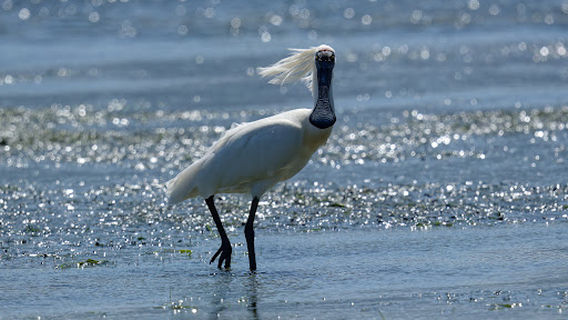 Harrington Point Beach