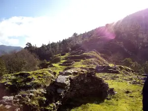 Castro de Pendía