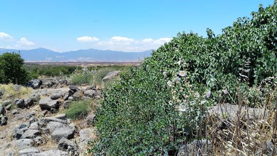 Tilman mound