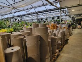 Floralies Jouvence