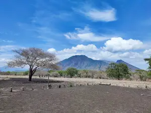 Visitor Center Baluran National Park