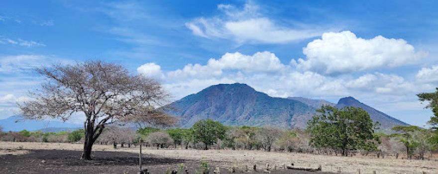 Visitor Center Baluran National Park