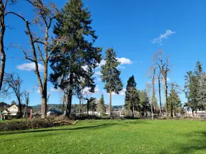 Coiner Park