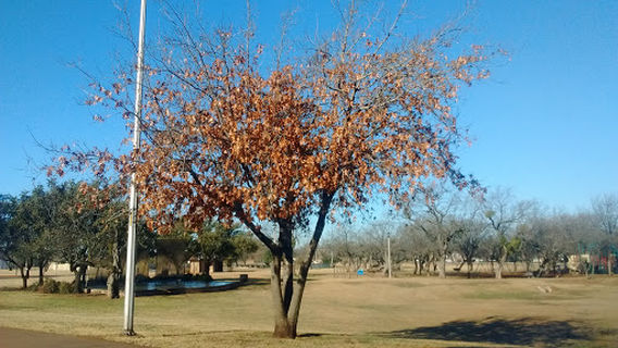 Abilene