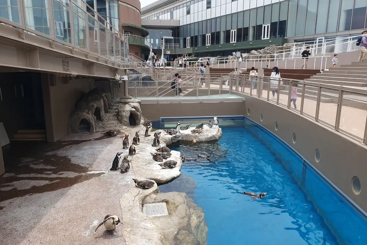 大洗水族館